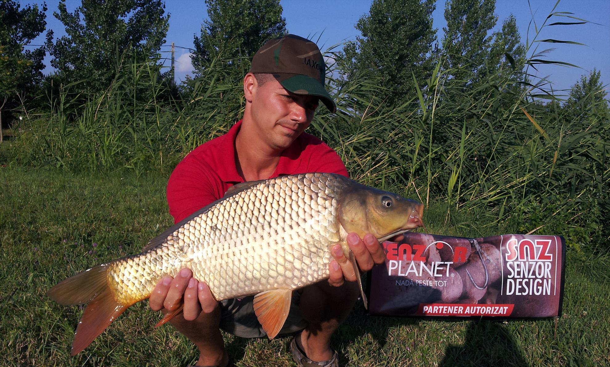 Silver  Ungaria 17 - 18 iul. - 20130717180400.jpg